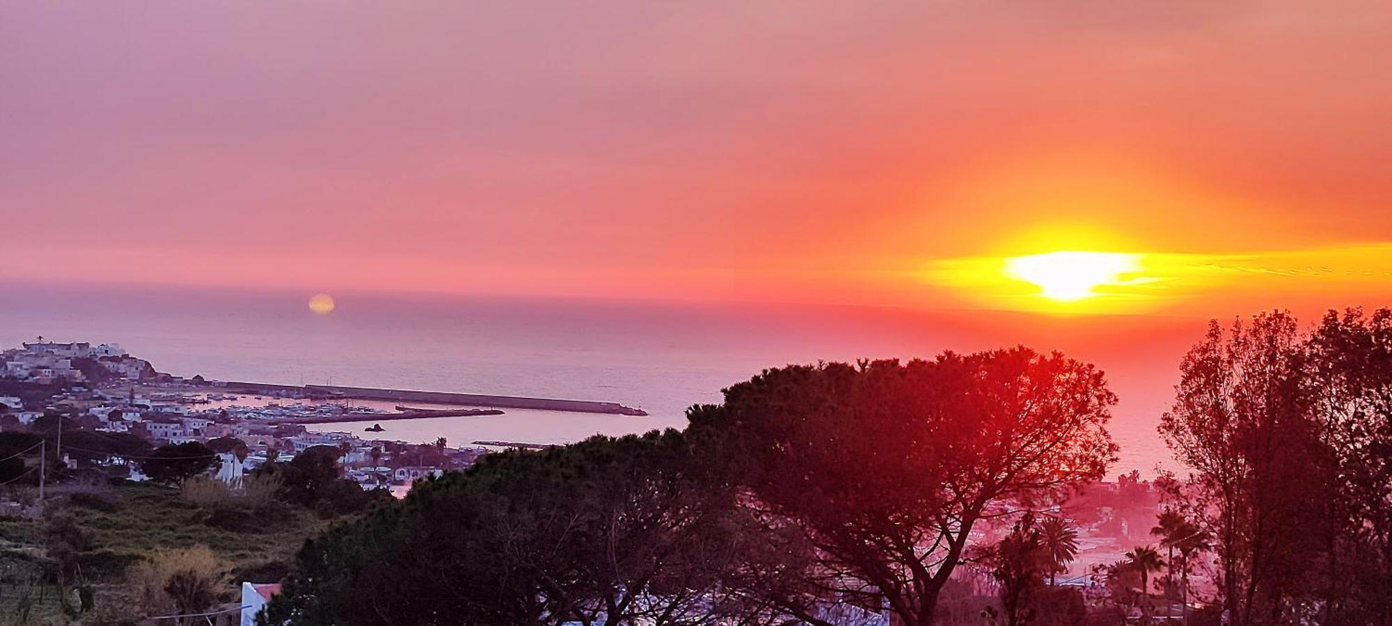 Villa Antonietta Ischia Eksteriør billede