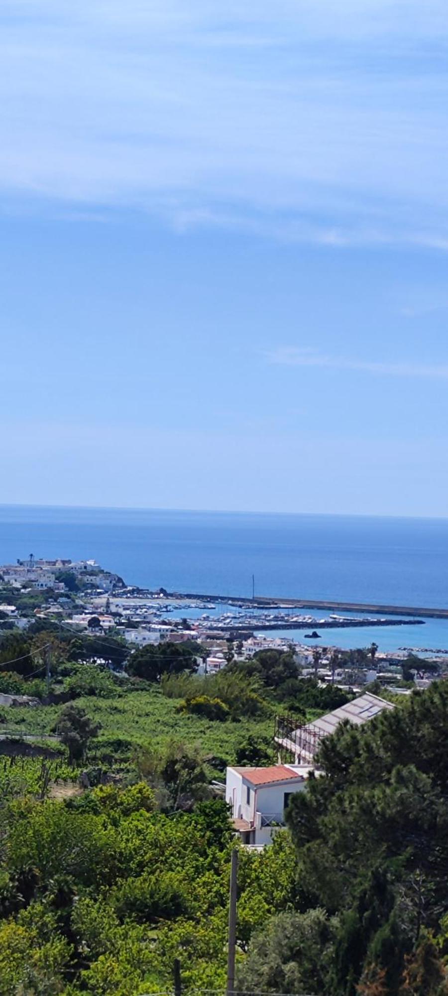 Villa Antonietta Ischia Eksteriør billede