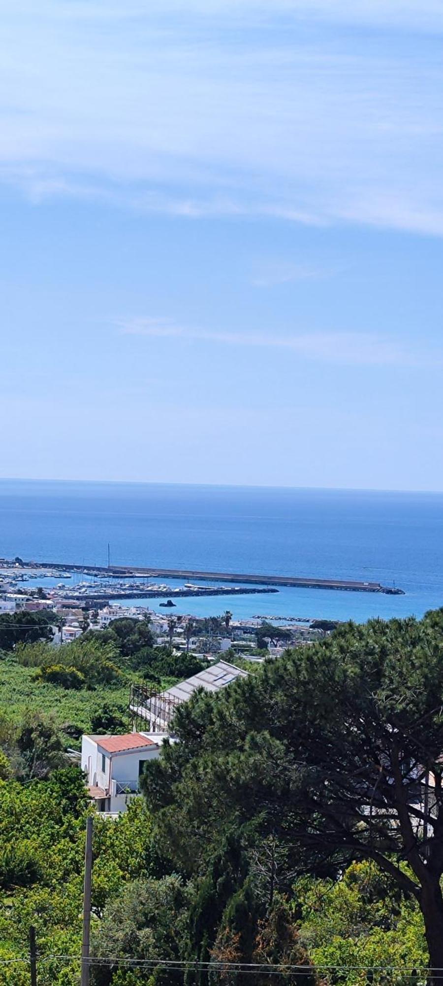 Villa Antonietta Ischia Eksteriør billede